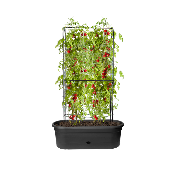 green basics jardiniere treillis 80cm living noir